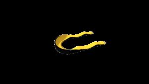 SPEEDRING OUVERT PREMIUM